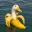 Ducknana
