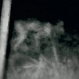 SKINWALKER