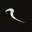 TAIL