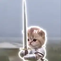 wifsword