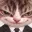 pumpcat