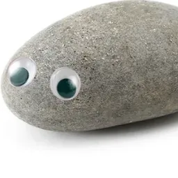ROCK