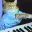 KEYCAT