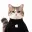 iCat