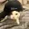 E/CAT