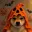 Inuween