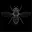 hoverfly
