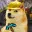 DOGEMINER