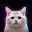LONGCAT