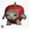 AAPLCAT