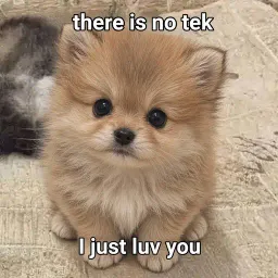 ILY