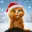 Ginger