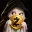 HUSH