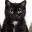 SXSICAT