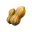 THESENUTS