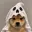 HALLOWINU