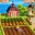 Farm