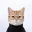 iCat