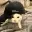 e/cat