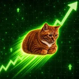 bCat