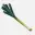 LEEK