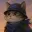 RAYCAT