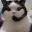 CALLCAT