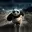 Po