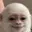 ALBERT
