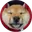 SAN