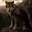 wolffund