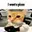 catcall