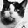 Félicette
