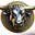 Bullcoin