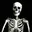 Skeleton 