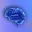 Second Brain