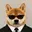 SPY