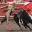 MATADOR