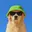 DripDog