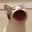 popcat
