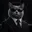 PURRLTR