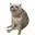 CASHCAT