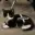 XCAT
