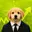 NASDOG