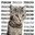 MEOWCAT