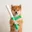 BATON