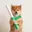 baton