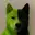 NVIDOG