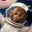 moonkey