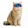 mogcat